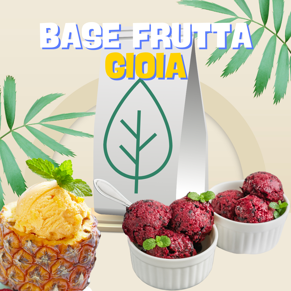 Base Frutta Gioia 240 - 4,8kg - Base per Sorbetti Completa senza additivi -  SaporePuro