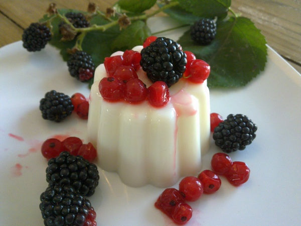 Ricetta di un Delizioso Budino di Latte con Carragenina K SaporePuro