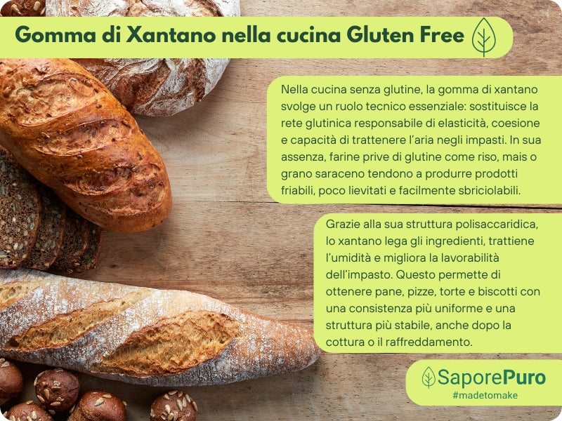 Gomma di Xantano - E415 -  Confezionato in Italia - SaporePuro
