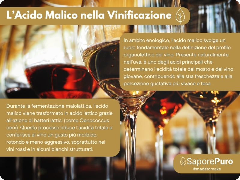Acido Malico - 1kg - L'Ingrediente Segreto per i Tuoi Cocktail Perfetti - Alimenti - contro l'affaticamento - per vino - Enologia - SaporePuro