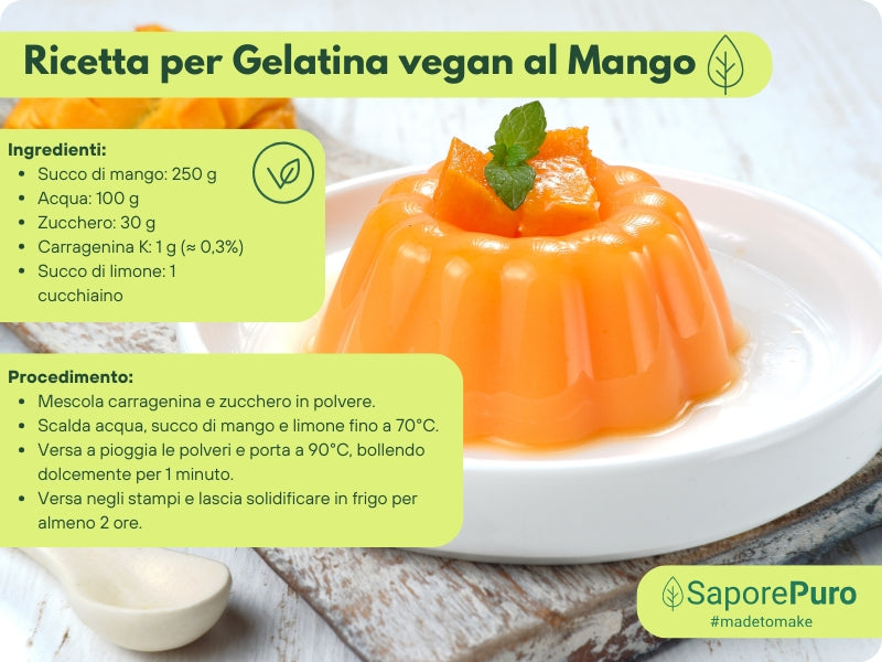 Carragenina Kappa (E407) - Confezionato in Italia - SaporePuro