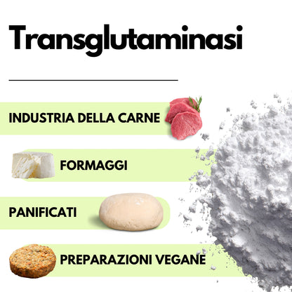 Transglutaminasi in polvere – Enzima per applicazioni alimentari professionali - SaporePuro