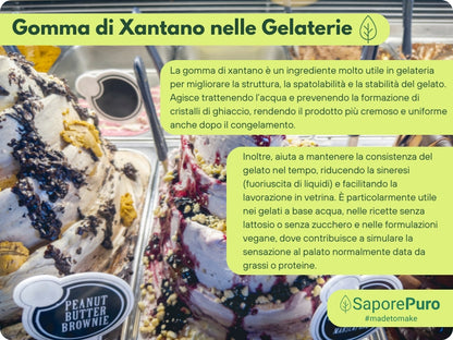 Gomma di Xantano - E415 -  Confezionato in Italia - SaporePuro