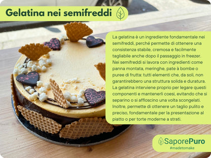 Gelatina Istantanea 200-220 bloom - Cold - Tipo A - E441 - SaporePuro