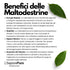 Maltodestrine 18-19DE - Confezionato in Italia - Zucchero a lento rilascio - per Gelati