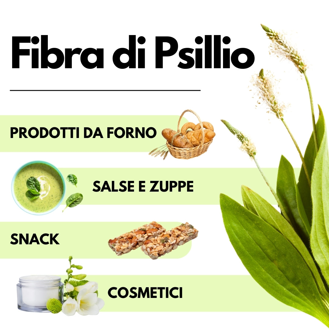 Fibra di Psillio in Polvere - 500gr