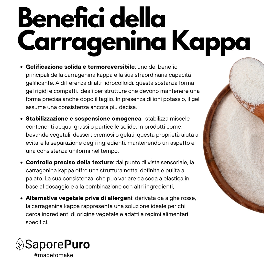 Carragenina Kappa (E407) - Confezionato in Italia - SaporePuro