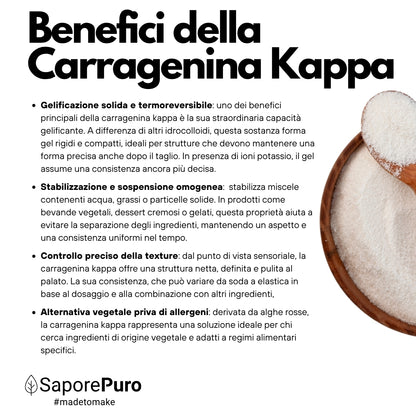 Carragenina Kappa (E407) - Confezionato in Italia - SaporePuro