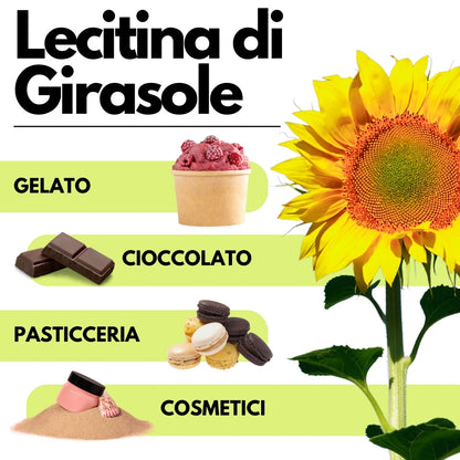 Lecitina di Girasole E322 - De-Oleata - Alternativa alla Soia - SaporePuro