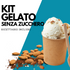 Gelato senza Zucchero - Pacchetto Completo + Ricette - SaporePuro