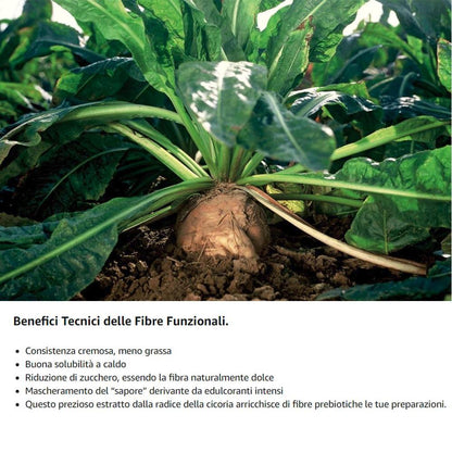 Inulina a catena lunga in polvere pura di SaporePuro, 150g, proveniente dall'Europa, visibile in immagine.