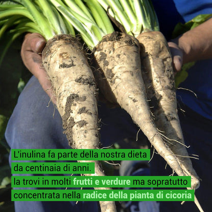 Inulina in polvere pura - 1 Kg - Origine Europa - A catena corta - SaporePuro